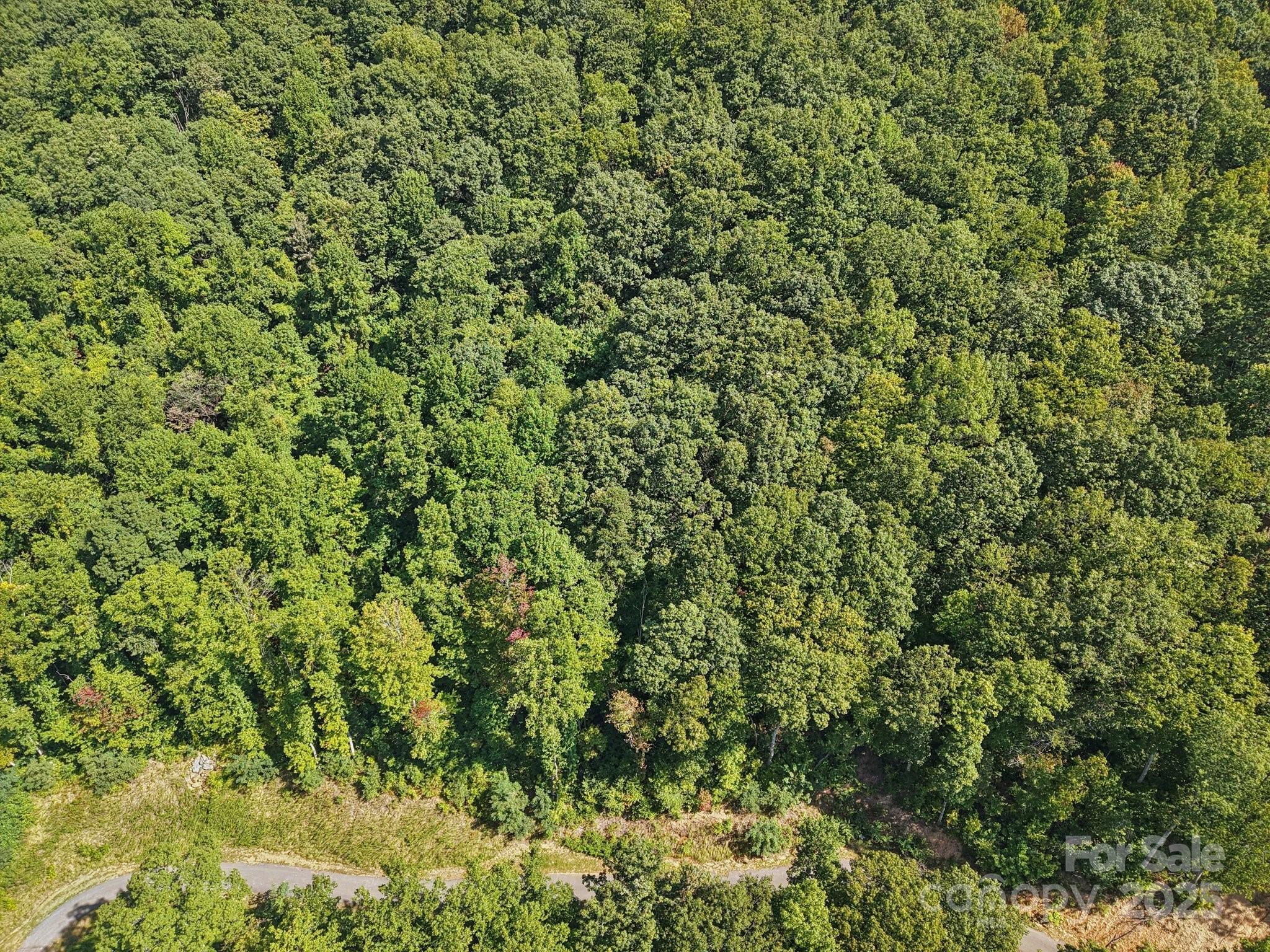 000 Biltmore View Drive Candler NC 28715