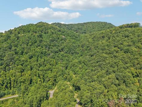 000 Biltmore View Drive Candler NC 28715