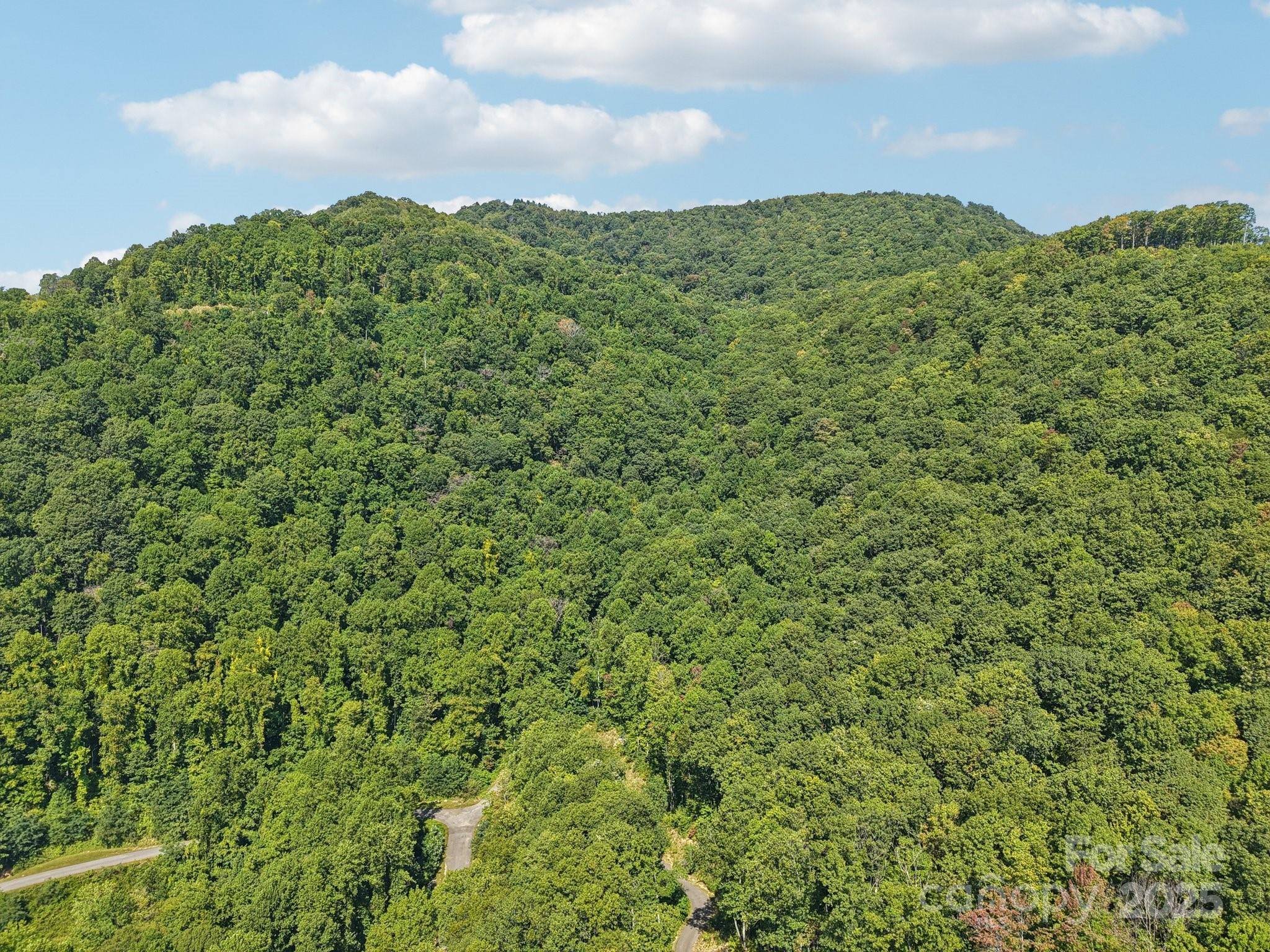 000 Biltmore View Drive Candler NC 28715