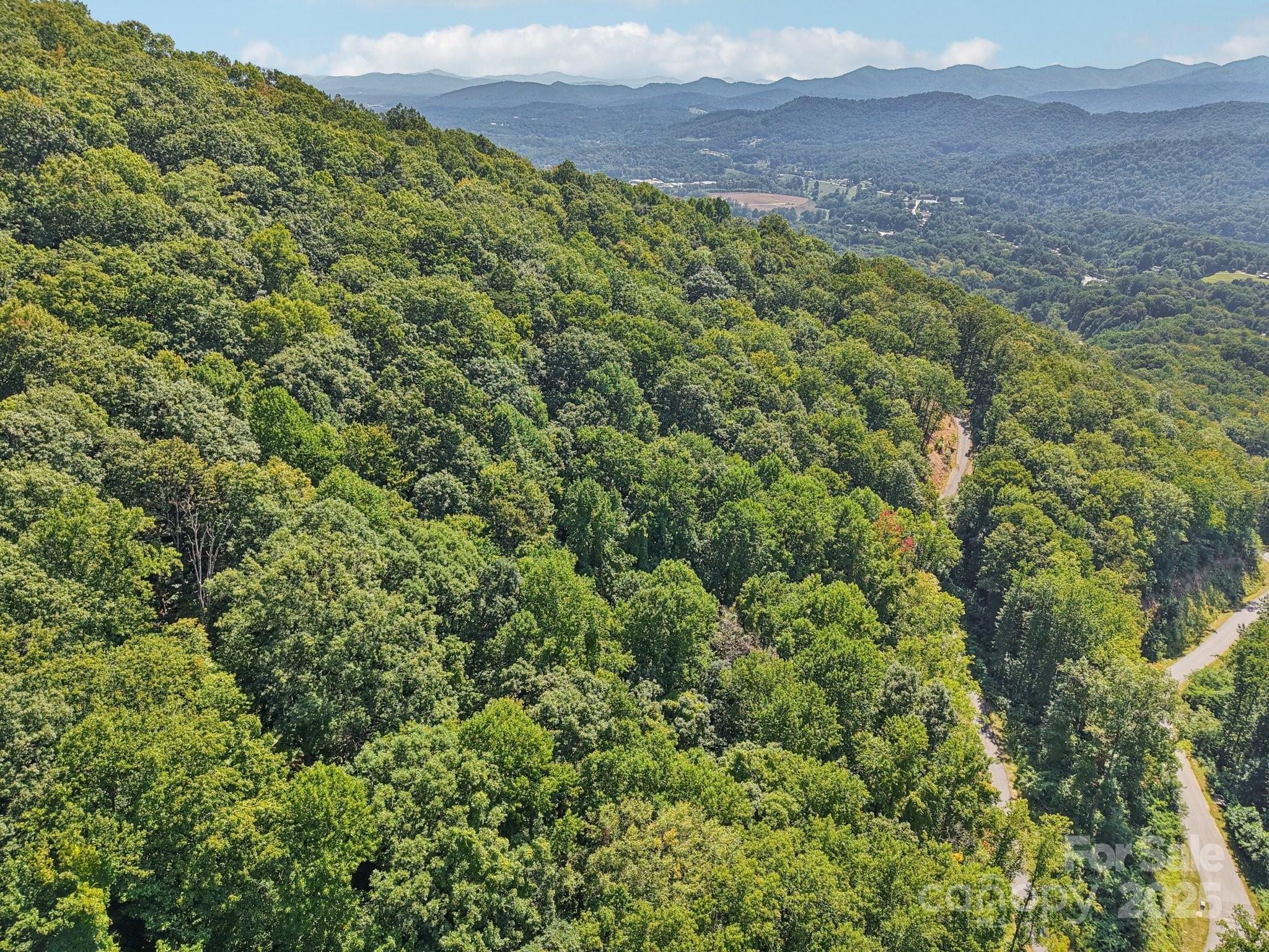 000 Biltmore View Drive Candler NC 28715
