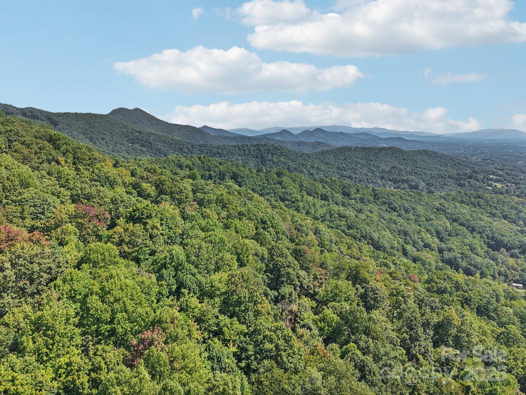 000 Biltmore View Drive Candler NC 28715