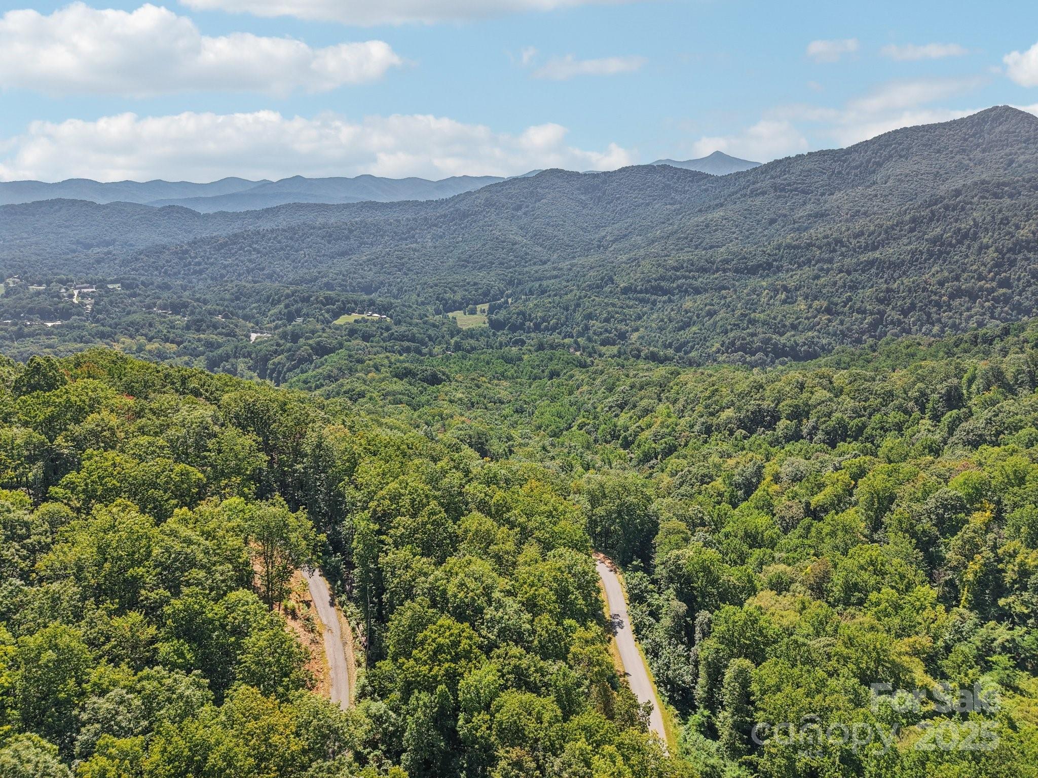 000 Biltmore View Drive Candler NC 28715