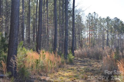 00 Peter Hawk Creek Road Jonesville SC 29353