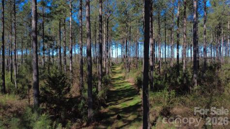 00 Peter Hawk Creek Road Jonesville SC 29353