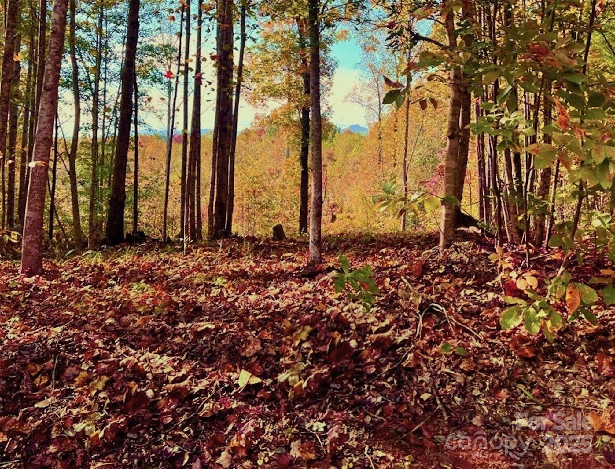 1.85 Acres, Lot 925 High Valley Way Lenoir NC 28645