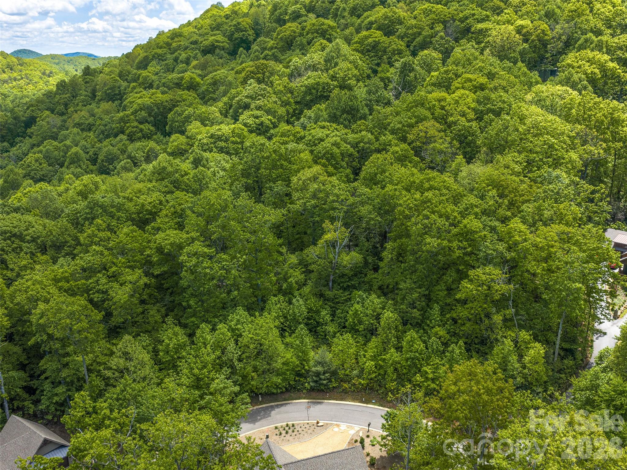 11 Crockett Ridge Road Black Mountain NC 28711