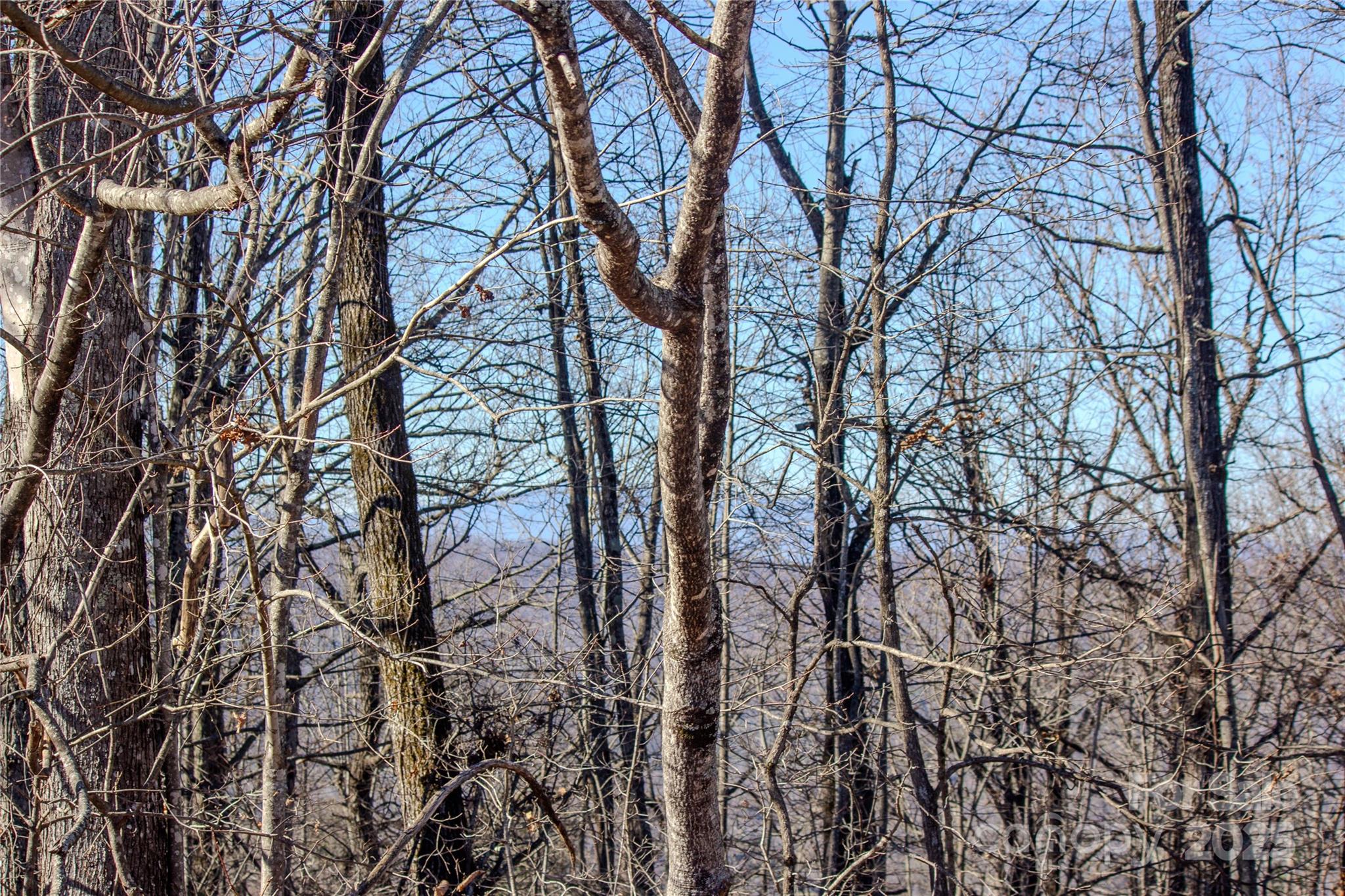 2206 Nighthawk Ridge Court Lenoir NC 28645
