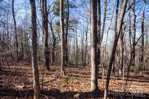 2206 Nighthawk Ridge Court Lenoir NC 28645