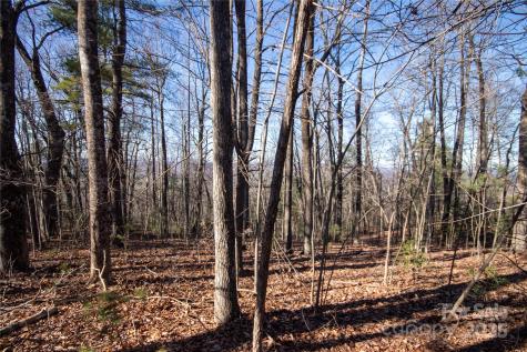 2206 Nighthawk Ridge Court Lenoir NC 28645