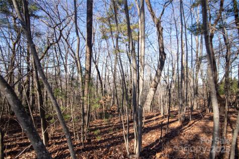 2206 Nighthawk Ridge Court Lenoir NC 28645