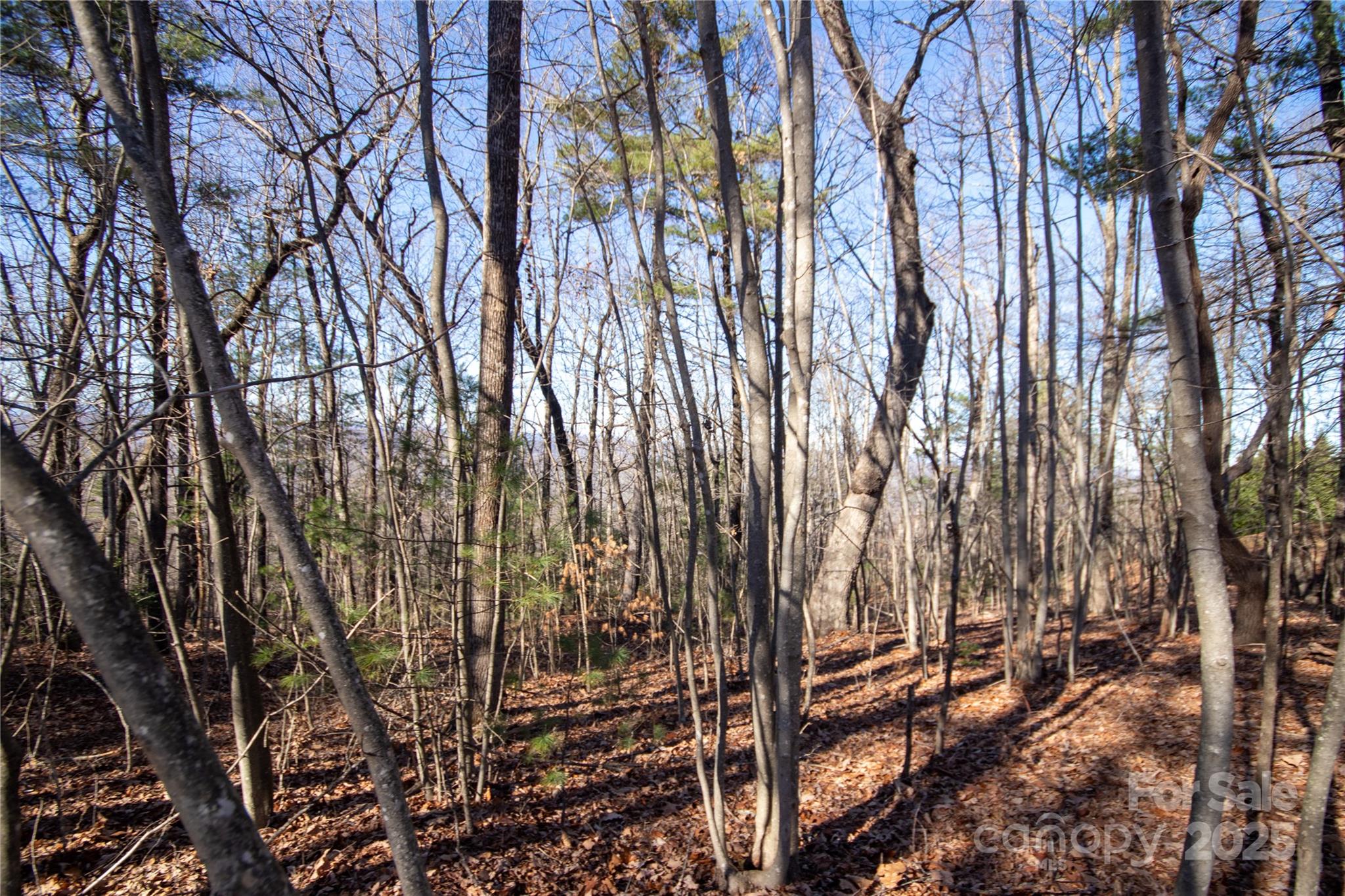 2206 Nighthawk Ridge Court Lenoir NC 28645