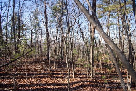 2206 Nighthawk Ridge Court Lenoir NC 28645