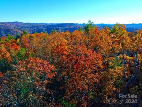 Lot D2 000 Dogwood Lane Penrose NC 28766