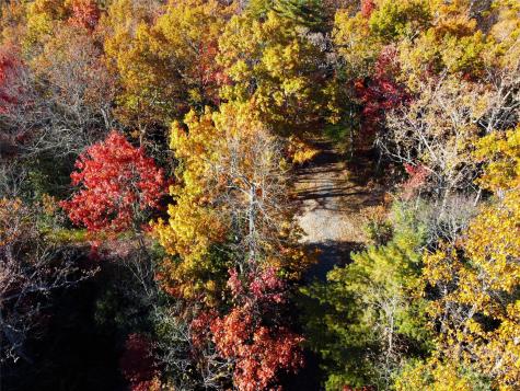 Lot D2 000 Dogwood Lane Penrose NC 28766