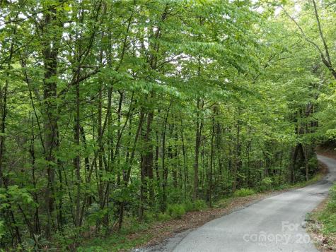 Lot D2 000 Dogwood Lane Penrose NC 28766