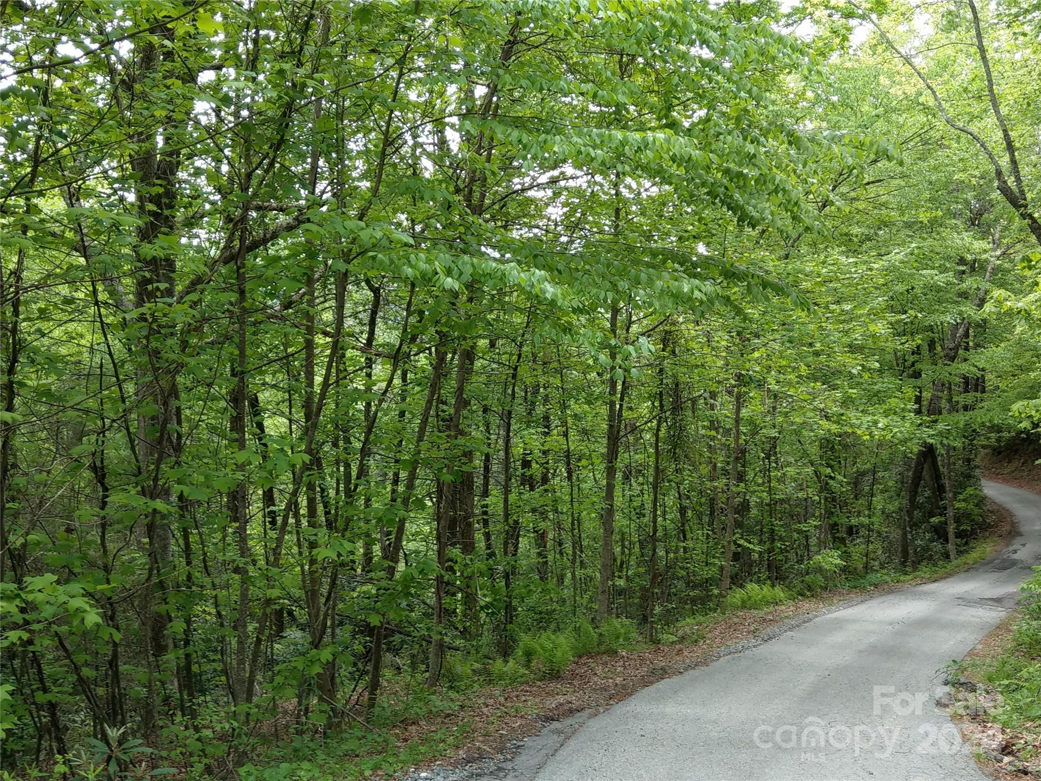 Lot D2 000 Dogwood Lane Penrose NC 28766