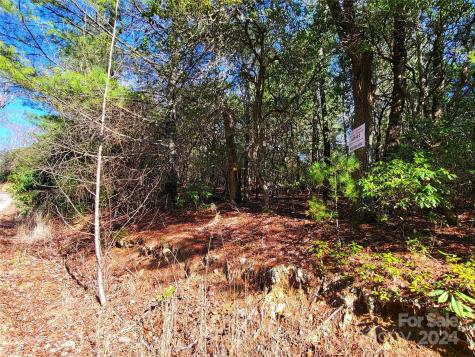 Lot D2 000 Dogwood Lane Penrose NC 28766
