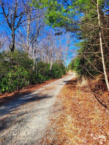 Lot D2 000 Dogwood Lane Penrose NC 28766