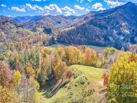 0 Old Michael Road Canton NC 28716