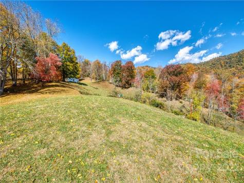 0 Old Michael Road Canton NC 28716