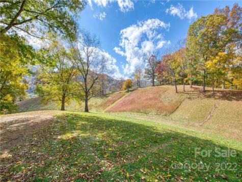 0 Old Michael Road Canton NC 28716