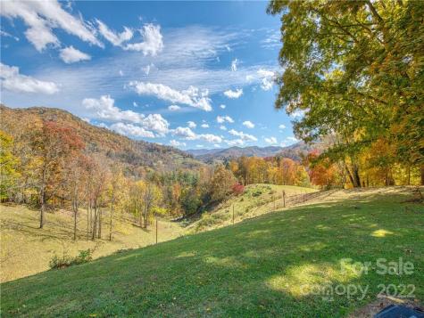 0 Old Michael Road Canton NC 28716