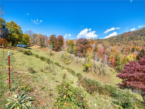 0 Old Michael Road Canton NC 28716
