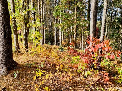 1.34 Acres, Lot 234 Waterfall Lane Lenoir NC 28645