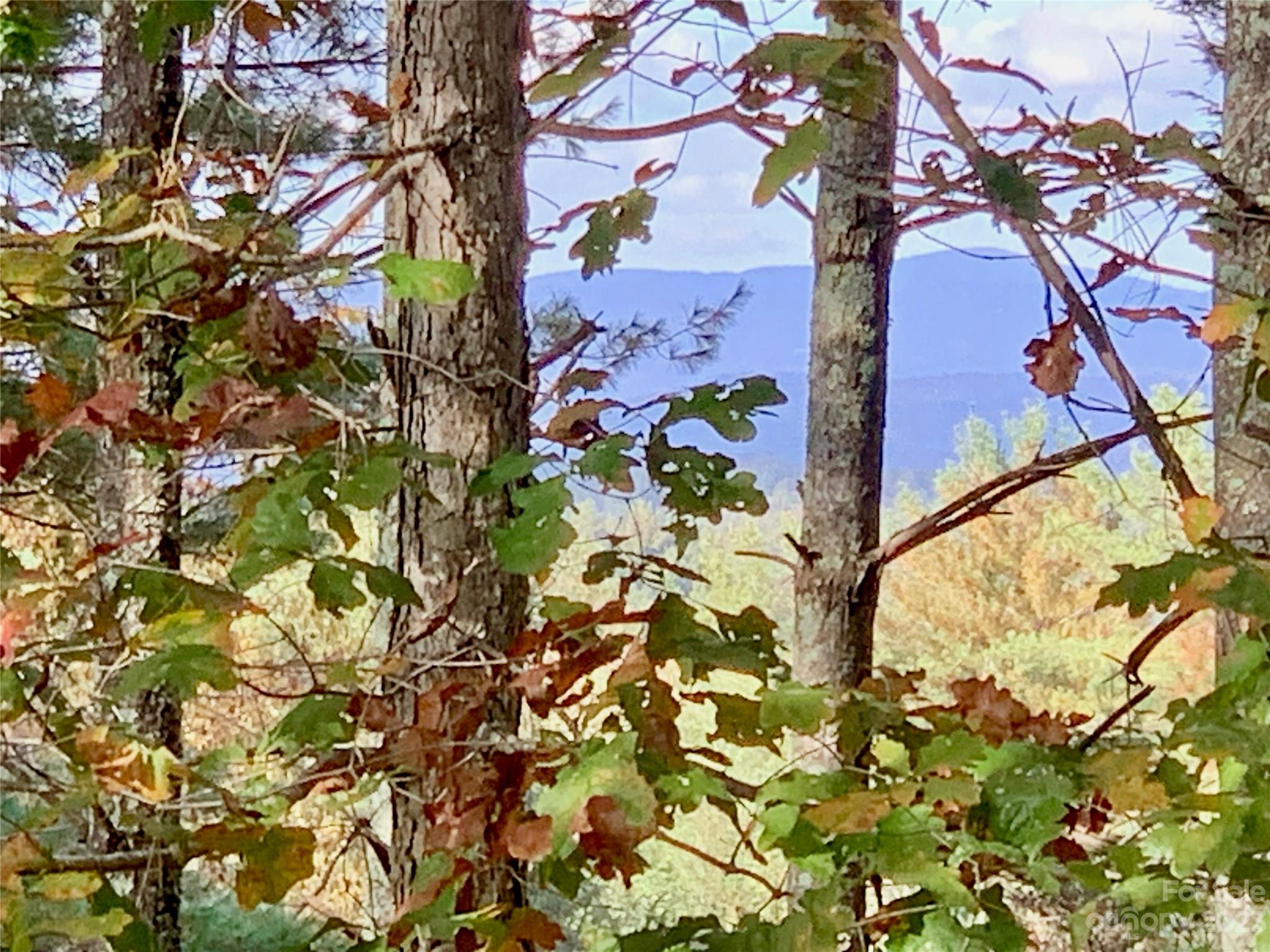 1.34 Acres, Lot 234 Waterfall Lane Lenoir NC 28645
