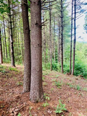 1.34 Acres, Lot 234 Waterfall Lane Lenoir NC 28645
