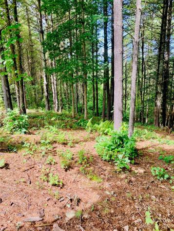 1.34 Acres, Lot 234 Waterfall Lane Lenoir NC 28645
