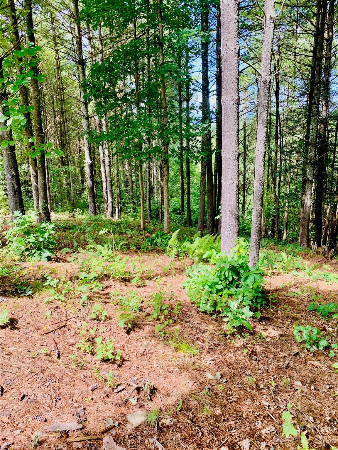 1.34 Acres, Lot 234 Waterfall Lane Lenoir NC 28645
