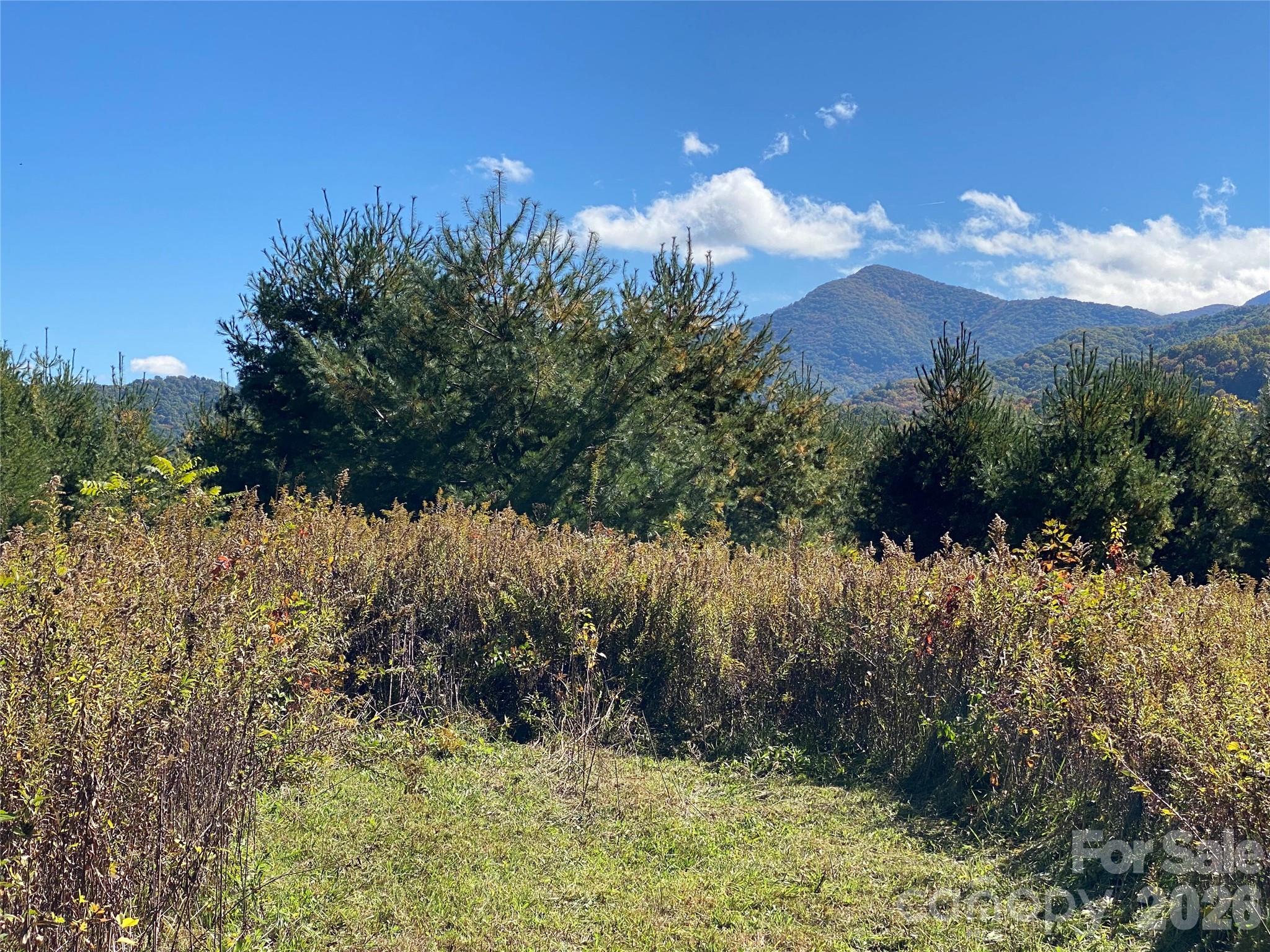 Tract 1 Hill Top Drive Burnsville NC 287214