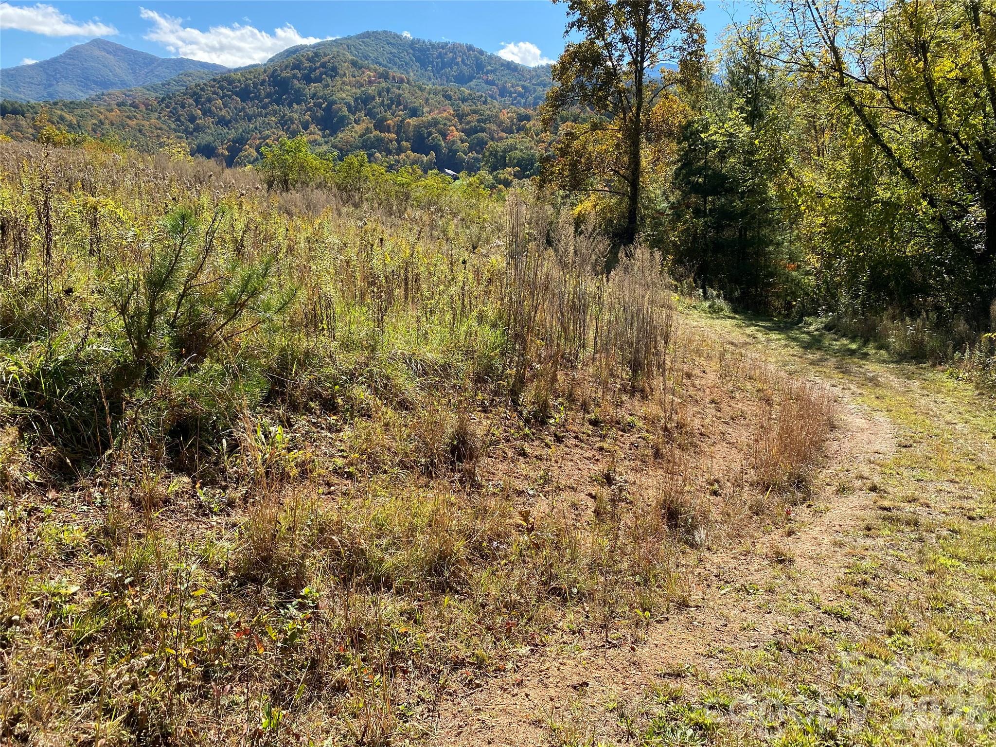 Tract 1 Hill Top Drive Burnsville NC 287214