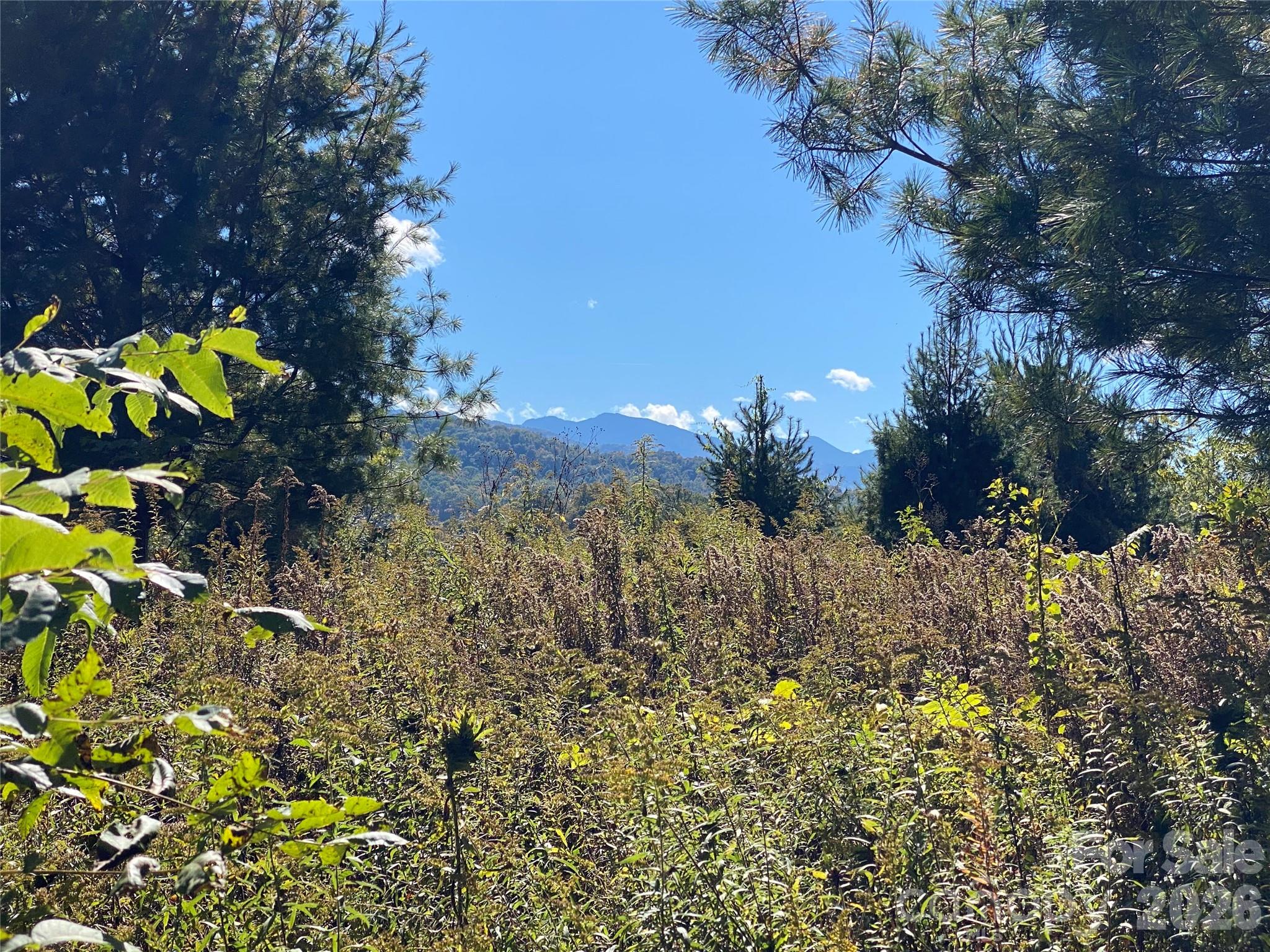 Tract 1 Hill Top Drive Burnsville NC 287214