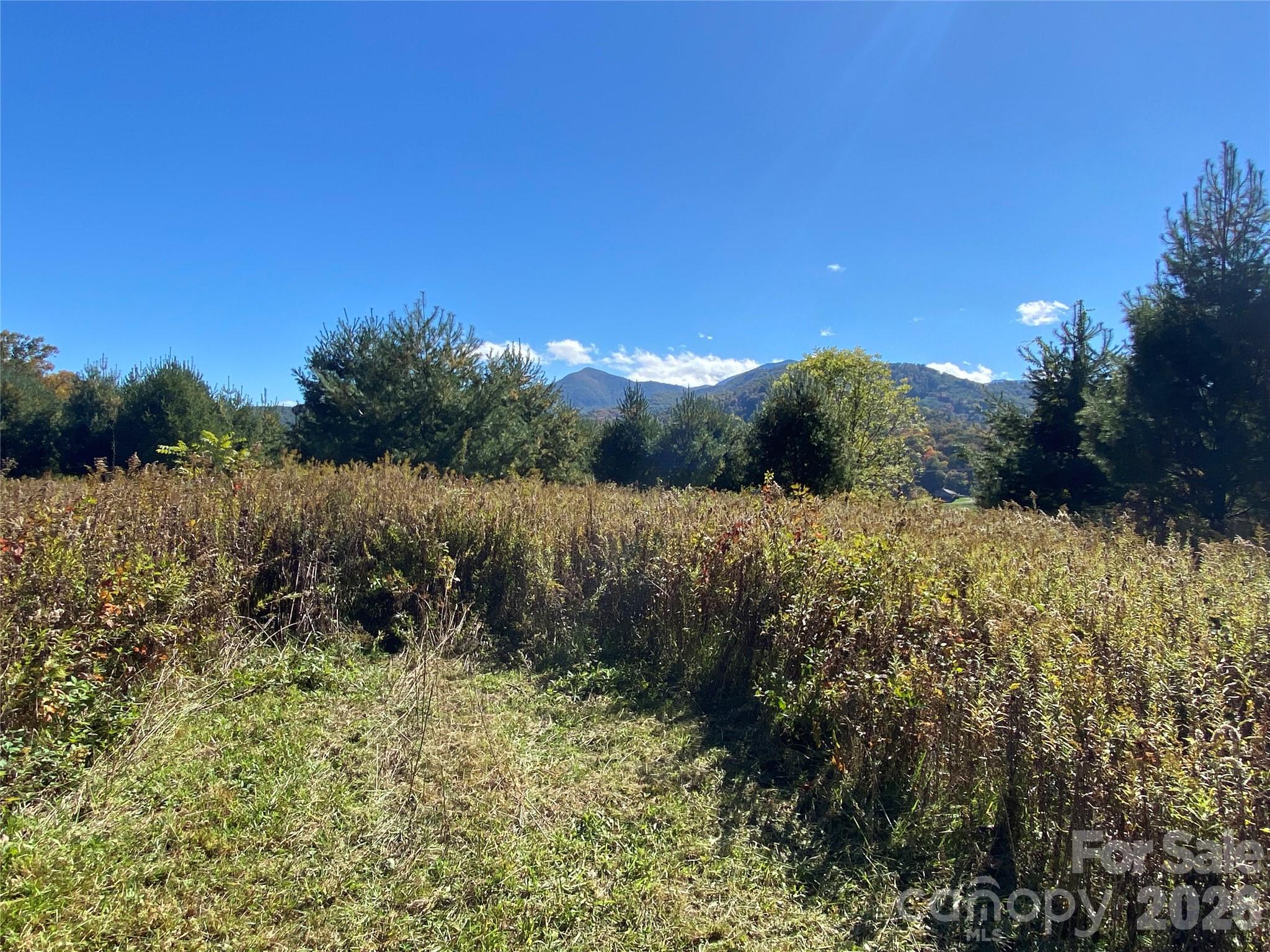Tract 1 Hill Top Drive Burnsville NC 287214