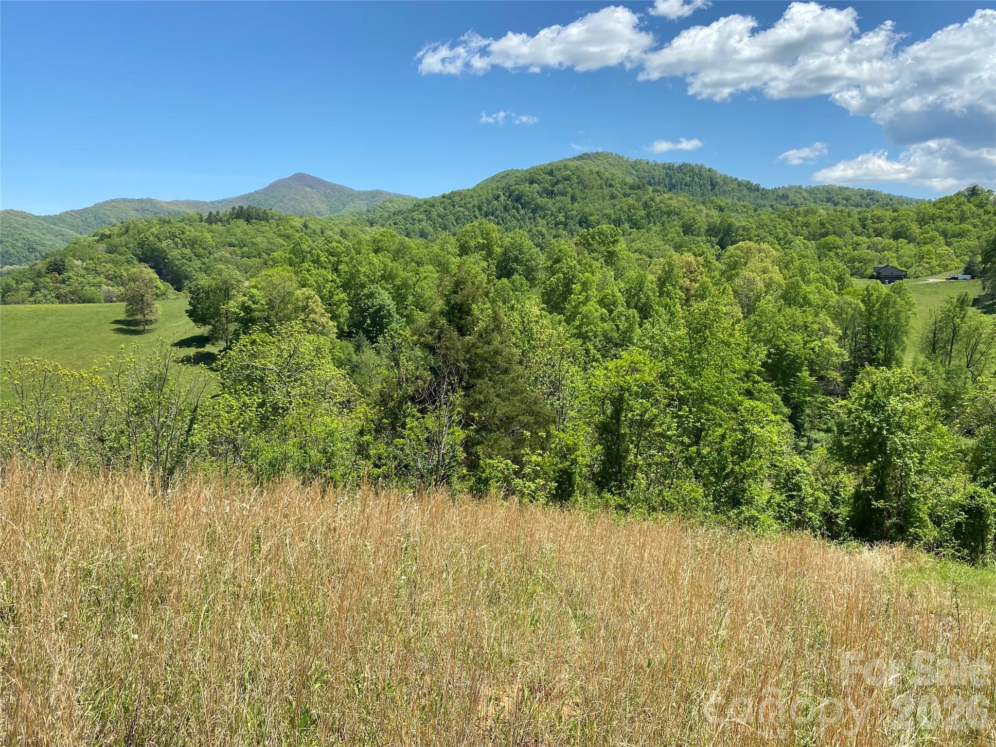 Tract 1 Hill Top Drive Burnsville NC 287214