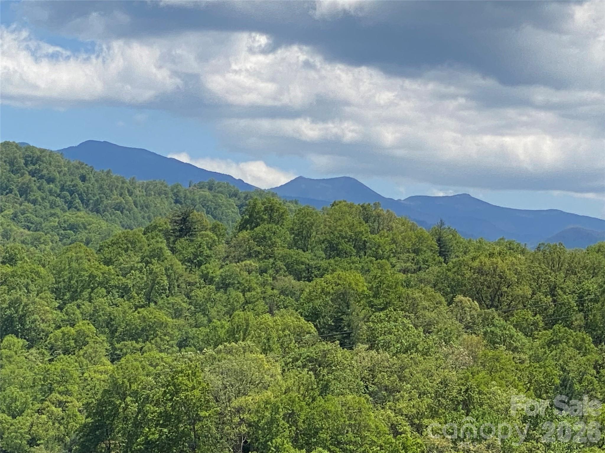Tract 1 Hill Top Drive Burnsville NC 287214