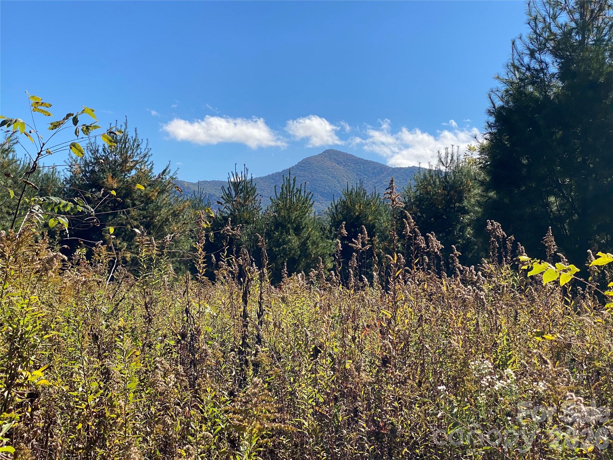 Tract 1 Hill Top Drive Burnsville NC 287214