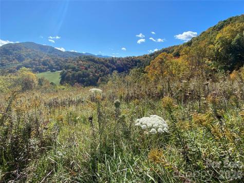 Tract 1 Hill Top Drive Burnsville NC 287214