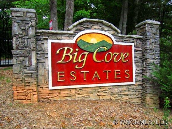 110 Vintage Road Candler NC 28715