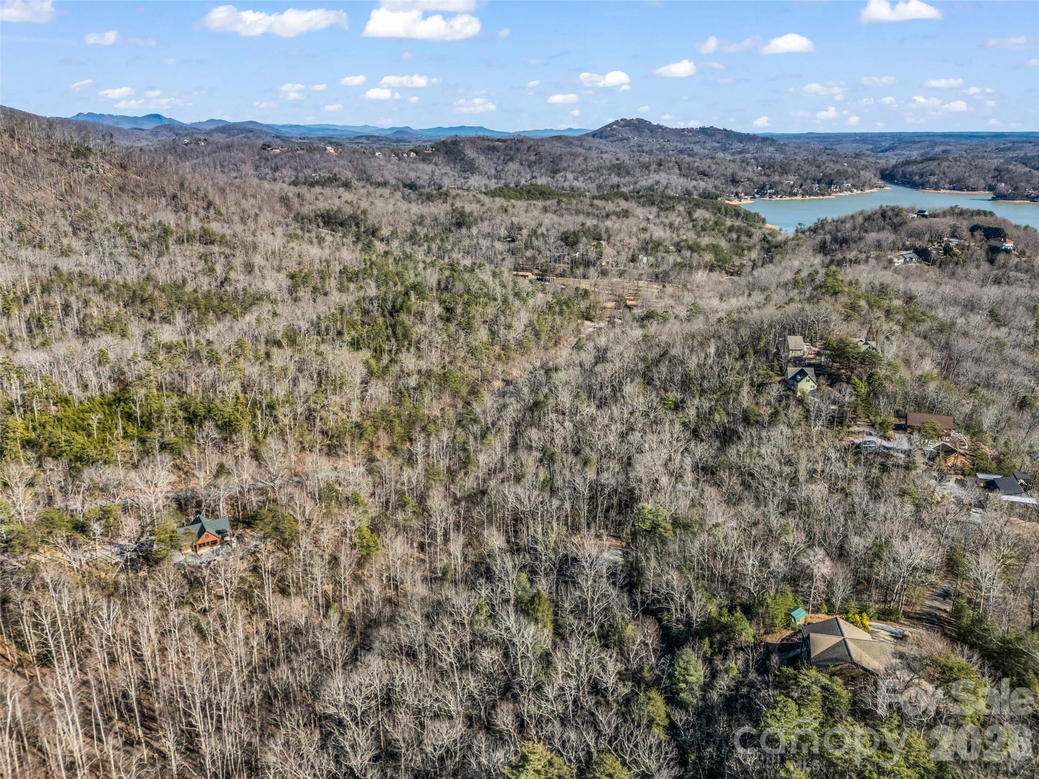 00 Mintwood Court Lake Lure NC 28746