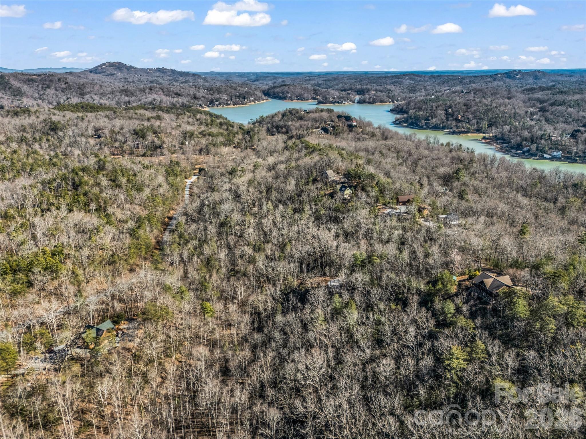 00 Mintwood Court Lake Lure NC 28746