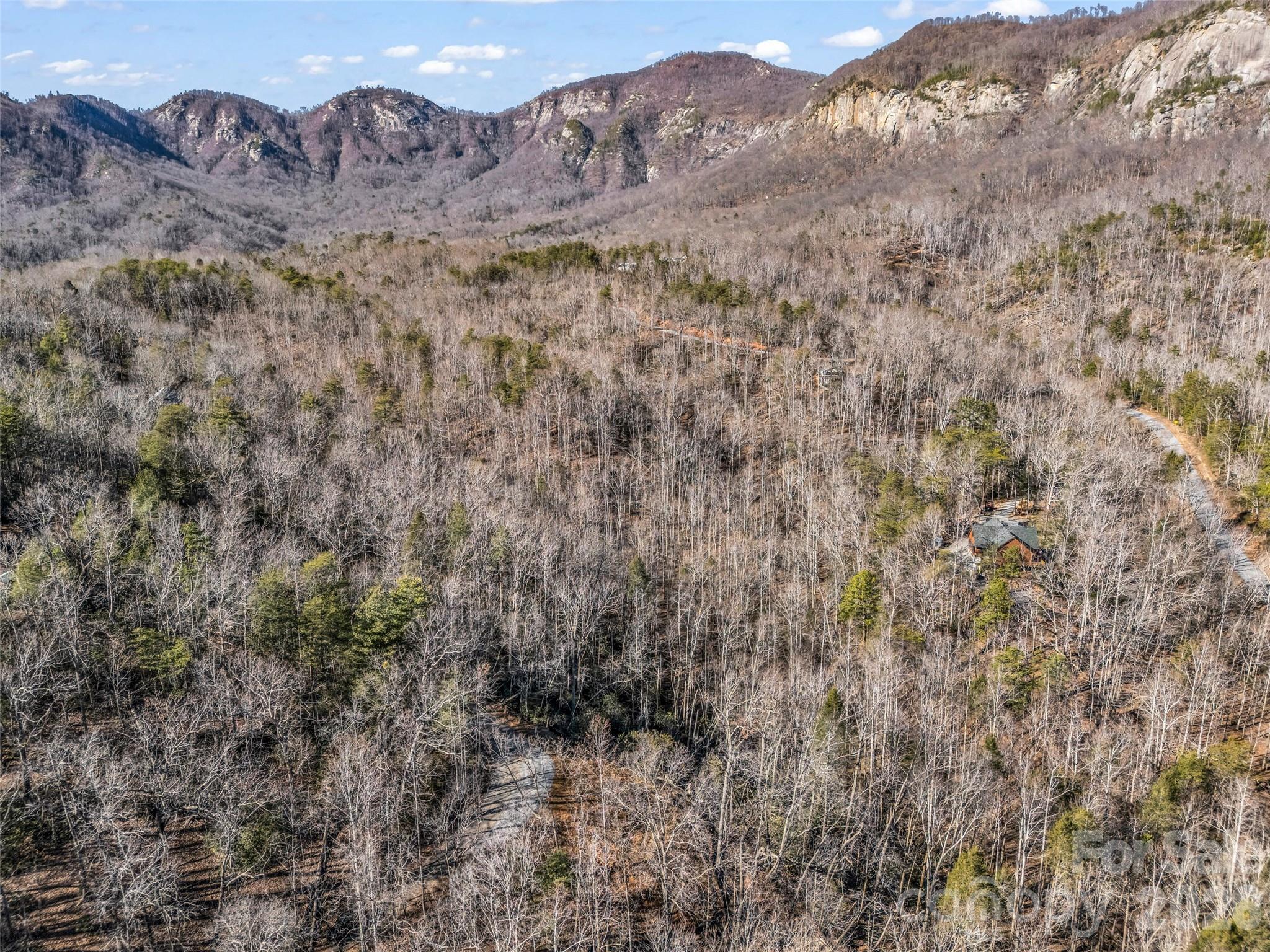 00 Mintwood Court Lake Lure NC 28746