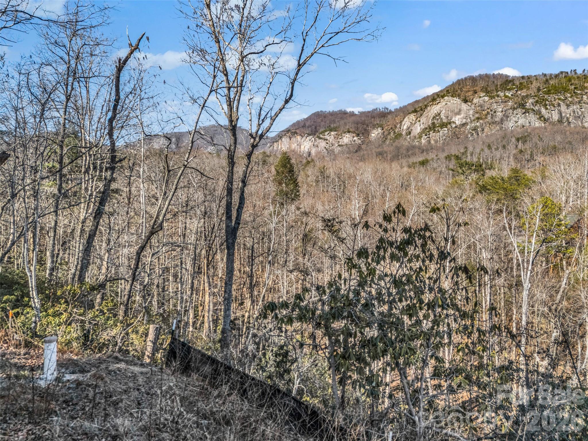 00 Mintwood Court Lake Lure NC 28746