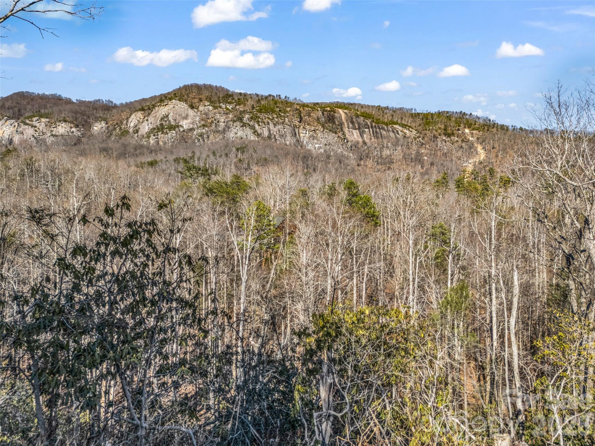 00 Mintwood Court Lake Lure NC 28746