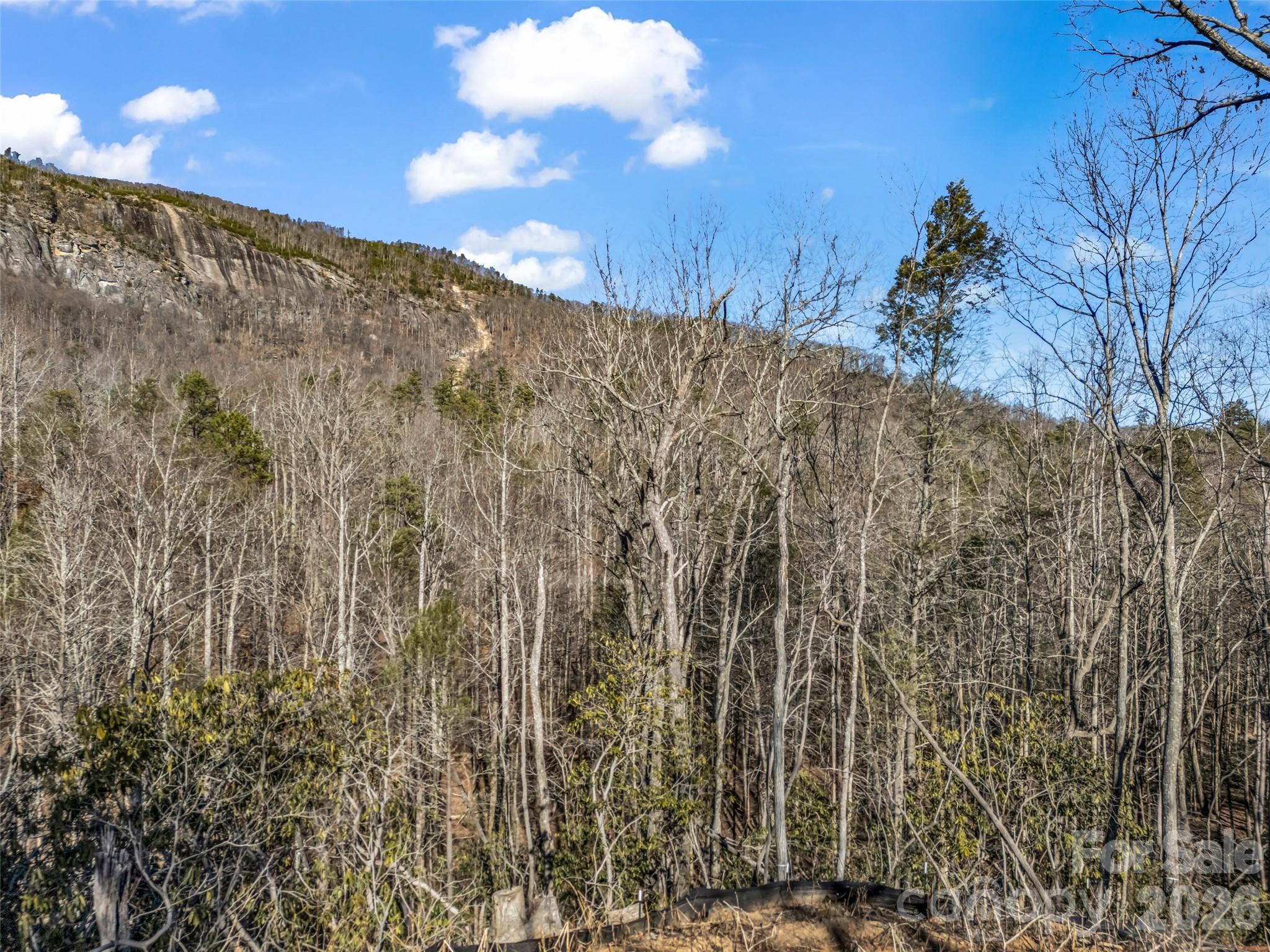 00 Mintwood Court Lake Lure NC 28746