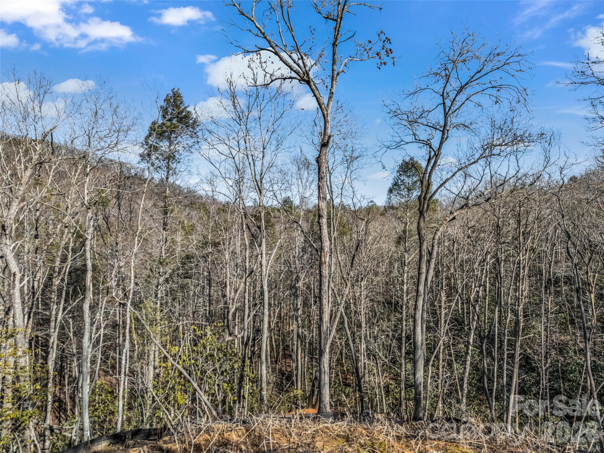 00 Mintwood Court Lake Lure NC 28746