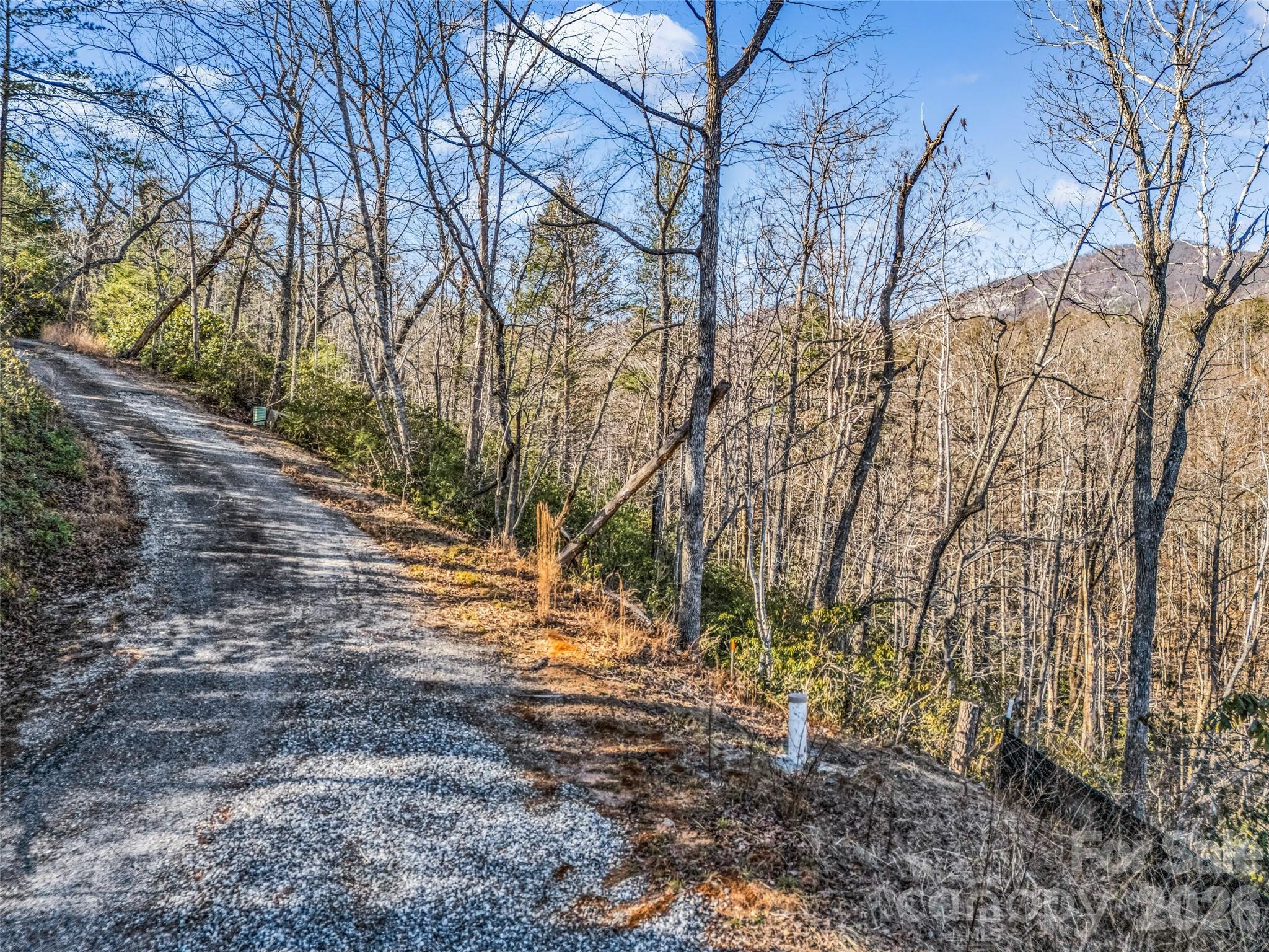 00 Mintwood Court Lake Lure NC 28746