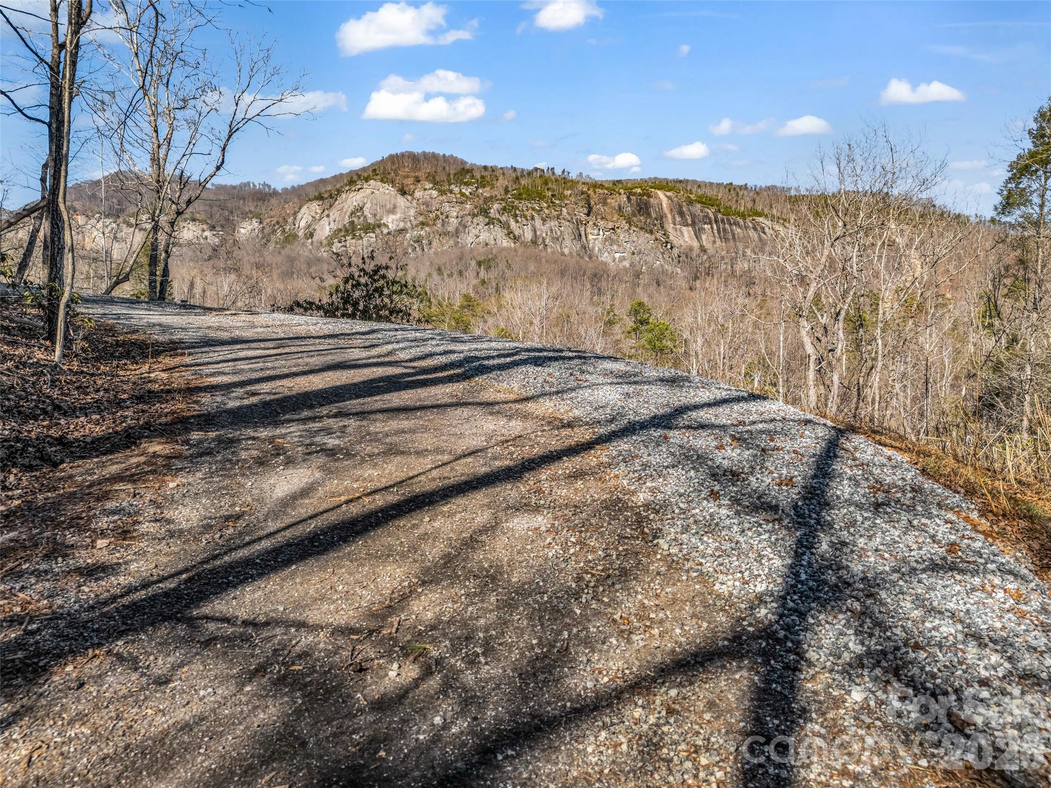 00 Mintwood Court Lake Lure NC 28746